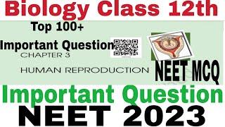 Human Reproduction class 12 Question neet || Human Reproduction MCQ || NEET MCQ NEET QUESTION ANSWER