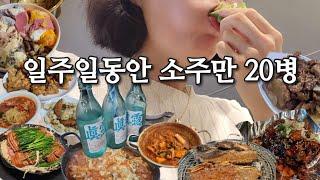 [vlog] 일주일내내 만취함 | 술 먹방 브이로그 | 닭볶음탕 오돌뼈 치킨 la갈비 치즈닭갈비 쌈밥 베라 짬뽕 탕수육 소주