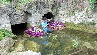 From Riverbed to Riches:Girl's Dig Unveils Giant Mussel Holding Surprise of Valuable, Rare Treasures