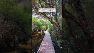 Places to visit in Ajman - Ajman Mangroves , AL ZORAH NATURE RESERVE