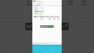 What Is A Slicer⁉️ #excel #pivottable