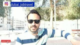 Dubai Visit Visa Pe Job Kar Sakte Hai Kya ? Dubai Employment Visa Pe Kaun Le Sakta Hai ?