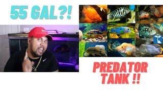 MY 55 GALLON PREDATOR TANK... LET ME EXPLAIN