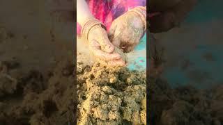 Holika dehen ke liye burakle banaye #shorts #share SUBSCRIBE #@Dailyvlogs