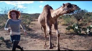 Camel vs Girl (in race!)