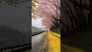 Autumn's Whispers: Embracing the Unpredictable Beauty of Change #shorts #fall #nature