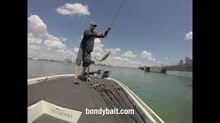 10 Walleye Baits For The Detroit River