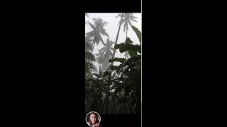 elleden is live! heavy rain in province