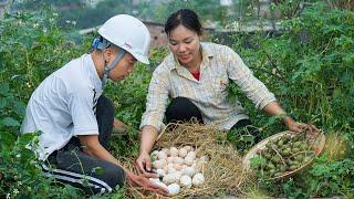 Surprise discovery of giant egg nest - Trinh's happy days are coming | Garden life