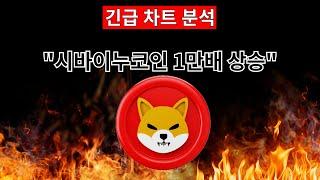 [ 시바이누 ] 시바이누코인 다시 1만배 상승