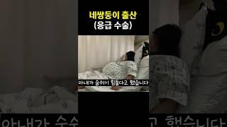 숨 쉬기 힘들어. 네쌍둥이 임신 32주 응급 수술로 출산 #네쌍둥이 #육아 #출산율