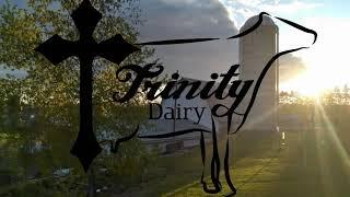 Welcome To Trinity Dairy-Reintroduction