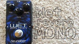 Neunaber Wet Reverb MONO V4 - Review (PT-BR)