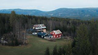 We bought a Farm in the Forests of Norway | #45