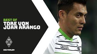 Die schönsten Tore von Juan Arango | Best of Borussia