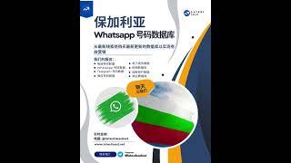 保加利亚 WhatsApp 号码数据库 | Latest Lead