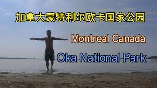 Oka National Park Montreal Quebec Canada 加拿大魁北克蒙特利尔欧卡国家公园——加拿大海哥Hihai Montreal