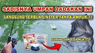 RESEP UMPAN DADAKAN TERBARU !! UMPAN IKAN MAS TERJITU LOMBA HARIAN SPESIAL RAME & BABON 