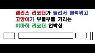 야마하 소프라노 YRS313리코더 언박싱