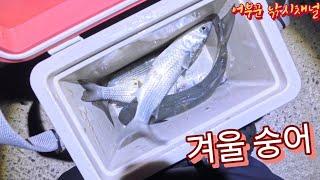 숭어낚시 | 숭어훌치기 채비 및 방법