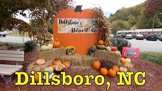 I'm visiting every town in NC - Dillsboro, North Carolina