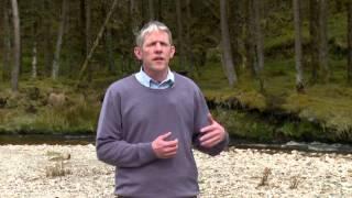 Rewilding The Nephin Beg Range