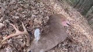 Deer Hunting Public Land, Buck DOWN!