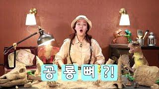 새의 조상! 아르카이옵테릭스 |전설의 발굴단 #23