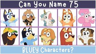 Can You Name 75 Bluey Characters? Bluey Quiz