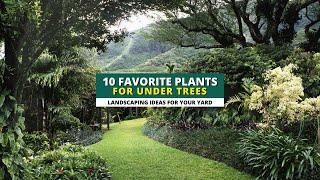 10 Favorite Plants for Planting Under Trees 