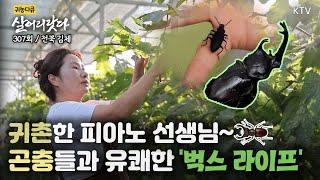 (살어리랏다)(307회) 느릿느릿 인생 2막 귀촌해 곤충과 사는 사연! koreatv, an insect farm, bug, aling (전북 김제)