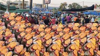 1h Full in The Most Crowded Fish Market in Cambodia | Cambodian Lively Fish Market View 2024