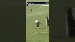 Unreal recovery  #horse #horseracing #racingtv #sport #britishhorseracing