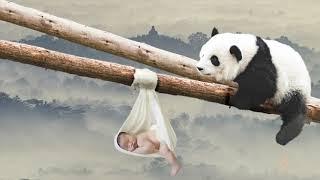 Newborn Photography NYC - Baby and Panda