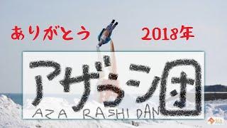 最近のアザラシ団。【今更年末編】