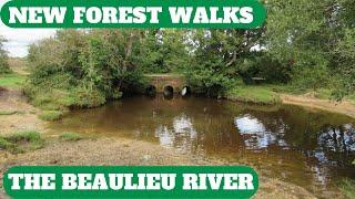 NEW FOREST WALK ALONG THE BEAULIEU RIVER (NEW FOREST NATIONAL PARK) (4K)