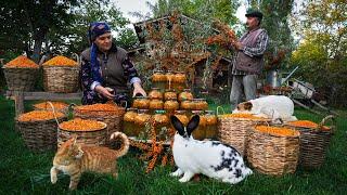  Sea Buckthorn Harvest & Winter Preservation A Seasonal Tradition