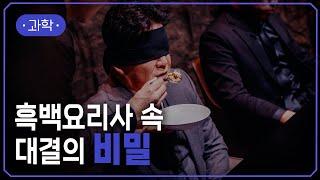 ‍흑백요리사 속 뇌 과학! 백종원은 왜 안대를 썼을까? | 음식을 맛볼 때 중요한 건 미각보다 시각? 블라인드 테스트의 과학 | #지식채널e