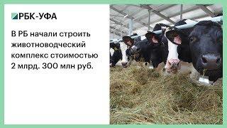 В РБ начали строить животноводческий комплекс стоимостью 2 млрд. 300 млн руб.