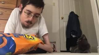 YOU WANT CHEESIES  - Ricky Berwick