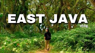 5 days in Indonesia | east java, tumpak sewu, mount bromo