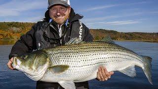 Giant Striped Bass in New Brunswick | Fish'n Canada