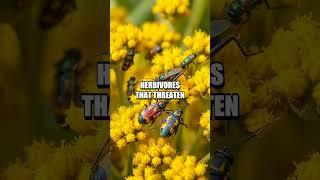 The Secret Alliance: Goldenrod's Enforcers
