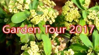 How to organize your garden? - Garden tour 2017 -  Nanjil Prema Samayal