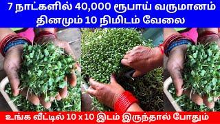 7 நாட்களில் 40,000 ரூபாய் வருமானம் தினமும் 10 நிமிடம் வேலை ​| Small Business Ideas | Tamil