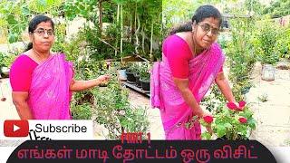 நம்ம வீட்டு மாடித்தோட்டம் ஒரு விசிட் PART 1 #மாடித்தோட்டம் #madithottam #tamil #trending #viral