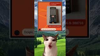 Sony #capcut #meme #polish #funny #polska #popular #cat #kot #shorts #nostalgia #shortsfeed #youtube