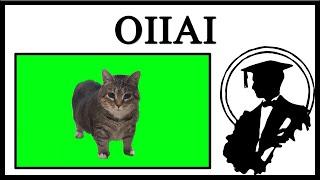 OIIAI Spinning Cat Is Cat Brainrot