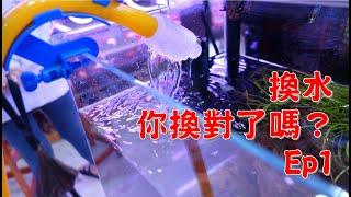 換水，你換對了嗎？ ep1