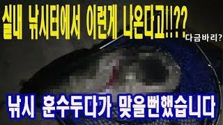 바다실내낚시터 훈수두기 그리고 넌정체가 뭐니?